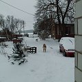 No i znowu wypędza nas na dwór