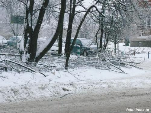 Miejskie spacerki z Indianą, styczeń 2010.