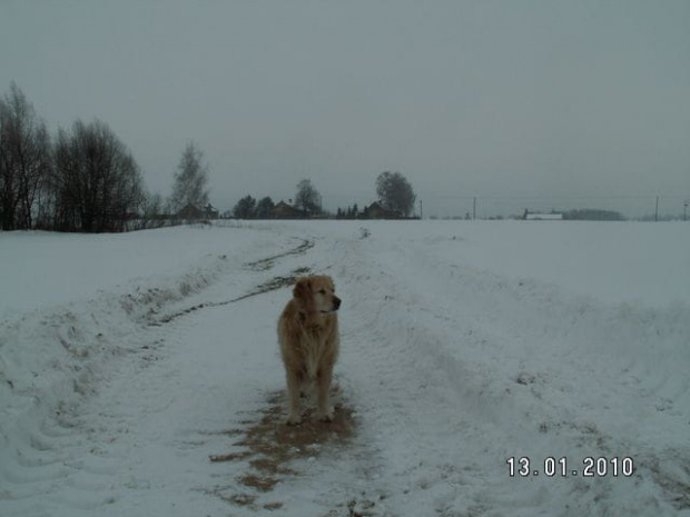 Tam gdzie górka jest pięknie