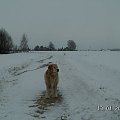 Tam gdzie górka jest pięknie
