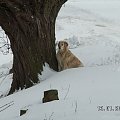 Prawie jak u Maryli R tylko