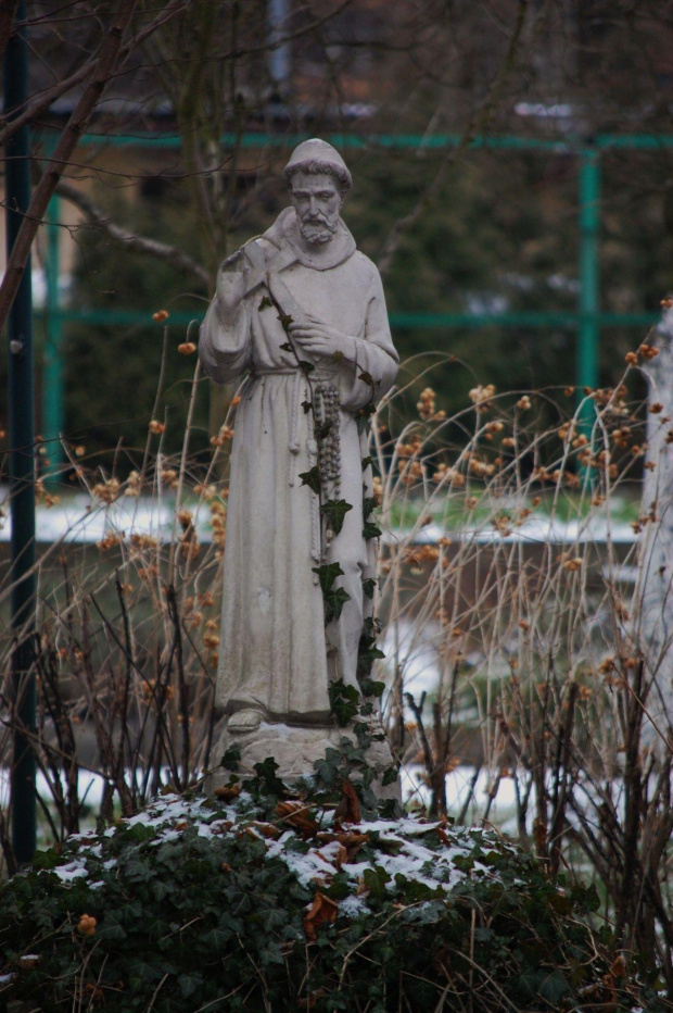 św. Franciszek #pomnik