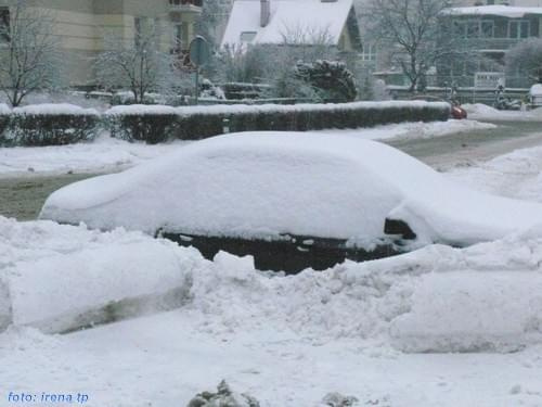 Miejskie spacerki z Indianą, styczeń 2010.