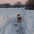 Jurek. Idziesz z nami ?