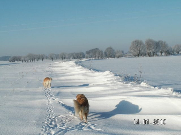 Drogą bez odśnieżania