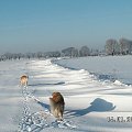 Drogą bez odśnieżania