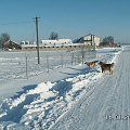Podejdź no do płota jako i my podchodzimy i nie tłumacz się głupio, że na łańcuch cię przypięli