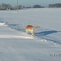 Postanowiliśmy się przejść