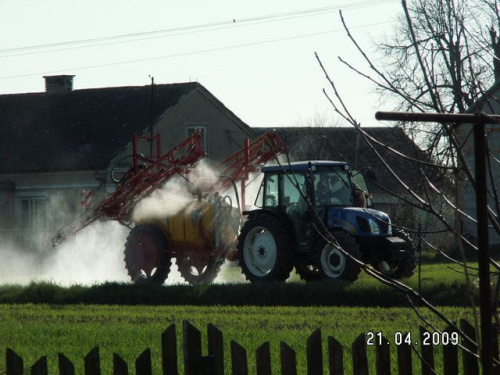 Potwór na szosie