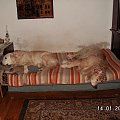 znany duet