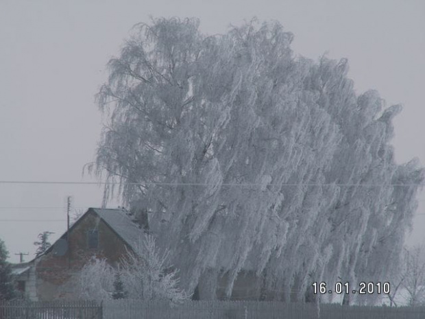 Ładnie wygląda moje otoczenie