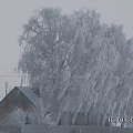 Ładnie wygląda moje otoczenie