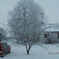Orzech przez noc posiwiał
