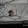 No to spróbuję się zaprowiantować
