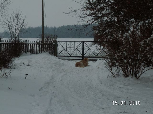 każdy spacer kiedyś sie kończy ale ja do domu nie wracam