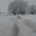 Ja tu zostanę bo przecież za 10 minut będziecie wracali