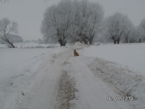 Ja tu zostanę bo przecież za 10 minut będziecie wracali