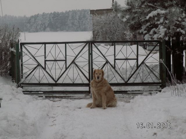 Ja dzisiaj też do domu nie wracam tylko pilnuję bramy