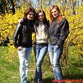 Zielono mi ;-) #Sobieszyn #Brzozowa