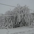 Ta zima już nie tylko wyglšda gronie ale jest grona. Przez tydzień nie miałem pršdu z przerwami. Niektórzy nie majš cišgle pršdu. Nie zapowiada się aby było lepiej bo mgła znowu wraca i szad będzie ponownie narastać i zrywać kable telefoniczne i ele...