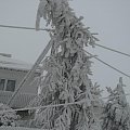 Ta zima już nie tylko wyglšda gronie ale jest grona. Przez tydzień nie miałem pršdu z przerwami. Niektórzy nie majš cišgle pršdu. Nie zapowiada się aby było lepiej bo mgła znowu wraca i szad będzie ponownie narastać i zrywać kable telefoniczne i ele...