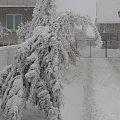 Ta zima już nie tylko wyglšda gronie ale jest grona. Przez tydzień nie miałem pršdu z przerwami. Niektórzy nie majš cišgle pršdu. Nie zapowiada się aby było lepiej bo mgła znowu wraca i szad będzie ponownie narastać i zrywać kable telefoniczne i ele...