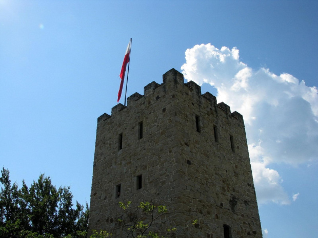 Zamek Tropsztyn n/Dunajcem #historia #lezajsktm #PolskieZamki #ruiny #zamki