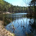 Staszowskie jezioro Golejów #Przyroda