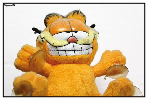 Garfield serdecznie pozdrawia:)