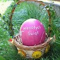 Wielkanocna pisanka :) #jajo #pisanka #sruś #Wielkanoc