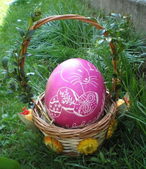 Wielkanocna pisanka :) #jajo #pisanka #sruś #Wielkanoc