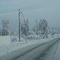 Te drzewa sporo ucierpiały. Robione zza przedniej szyby samochodu.