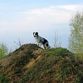 Britta i jej tegoroczne święta wielkanocne