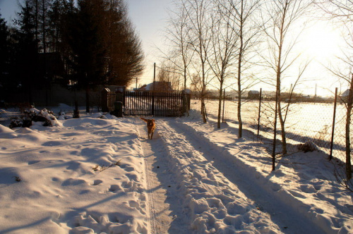 Zimowe pejzaze 2010 #zima #wandelt