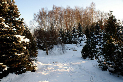 Zimowe pejzaze 2010 #zima #wandelt