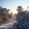 Wycieczka , Olsztyn i okolice