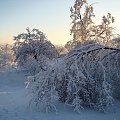 Wycieczka , Olsztyn i okolice