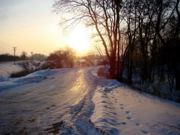 zimowy spacerek w mrozie i słońcu ........ :)))
