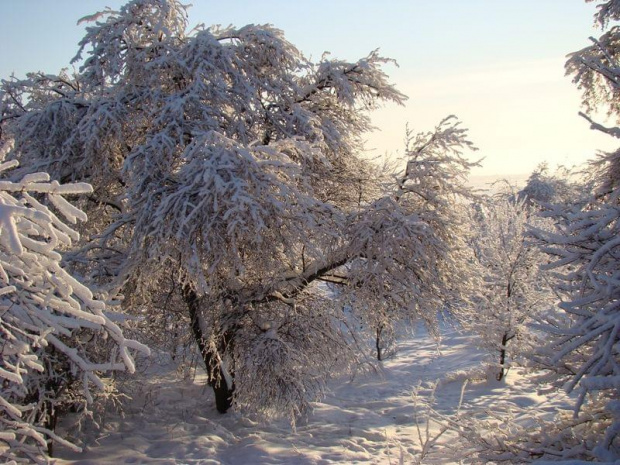 Wycieczka , Olsztyn i okolice