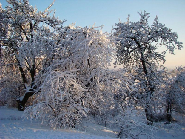 Wycieczka , Olsztyn i okolice