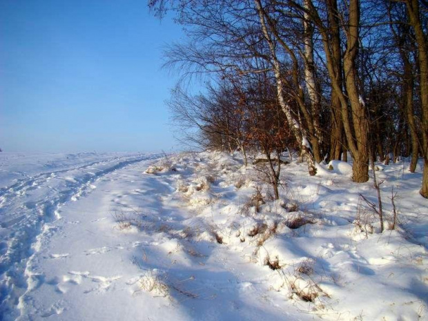 zimowy spacerek w mrozie i słońcu ........ :)))