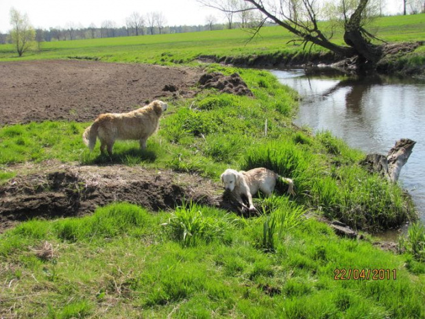 a ponieważ nam się nie śpieszy to może zdobycz poobrabiać na lenia