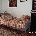 Żeby sobie odcisków nie porobić