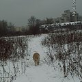 Byliśmy w Stolicy