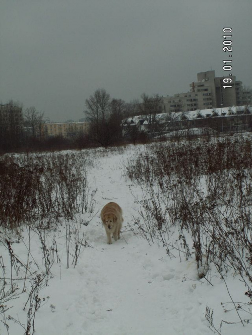 Byliśmy w Stolicy