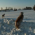 Na dalszym odcinku Corsa pójdzie na zwiady