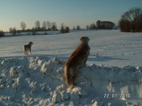 Na dalszym odcinku Corsa pójdzie na zwiady