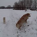 Za to terenowo można sobie po zaspach łazić