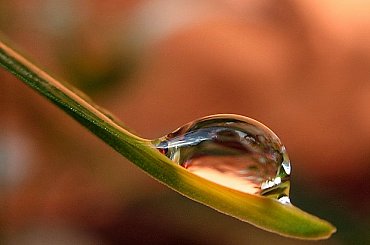 a to tak, żeby oko odpoczęło od zimy i ptaszków wszelakich ... :)) #kropelki #PoDeszczu #makro #trawa