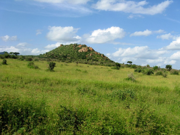 Safari Tsavo East #kenia #safari #tsavo